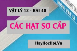 Hạt sơ cấp là gì? Tính chất của các loai hạt sơ cấp - Vật lý 12 bài 40